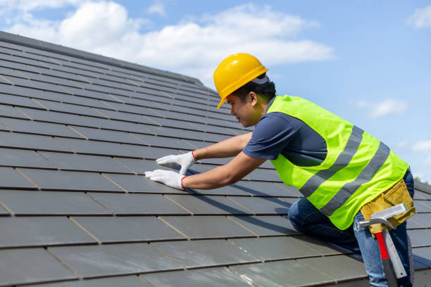 Best Roof Moss and Algae Removal  in Orland Hls, IL